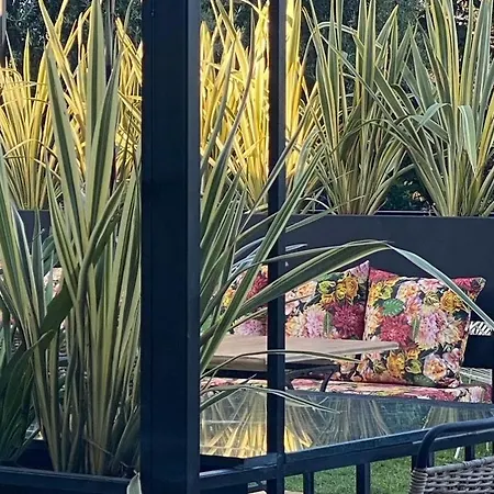 Messini Hotel Hotel 2*