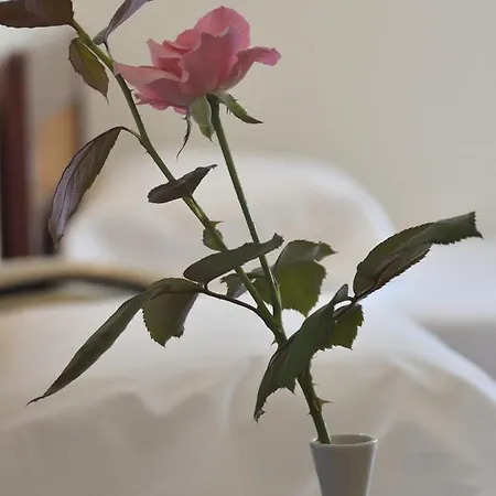 Messini Hotel Ξενοδοχείο