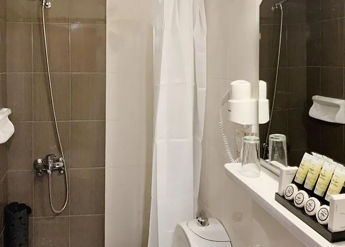 Messini Hotel 호텔 2*