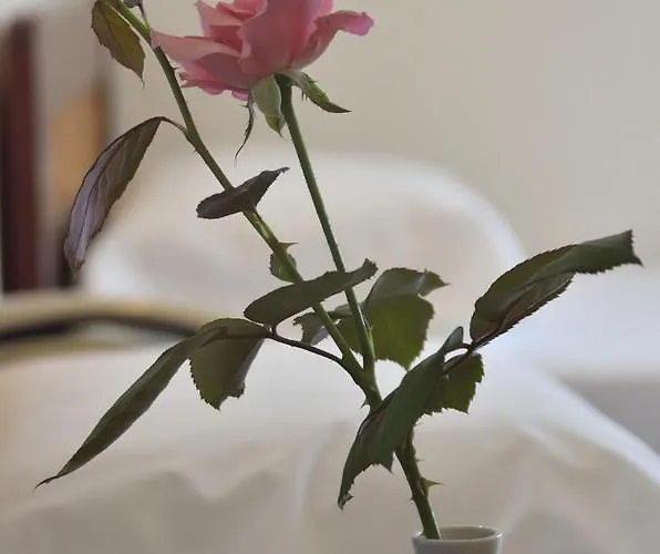 Messini Hotel 호텔